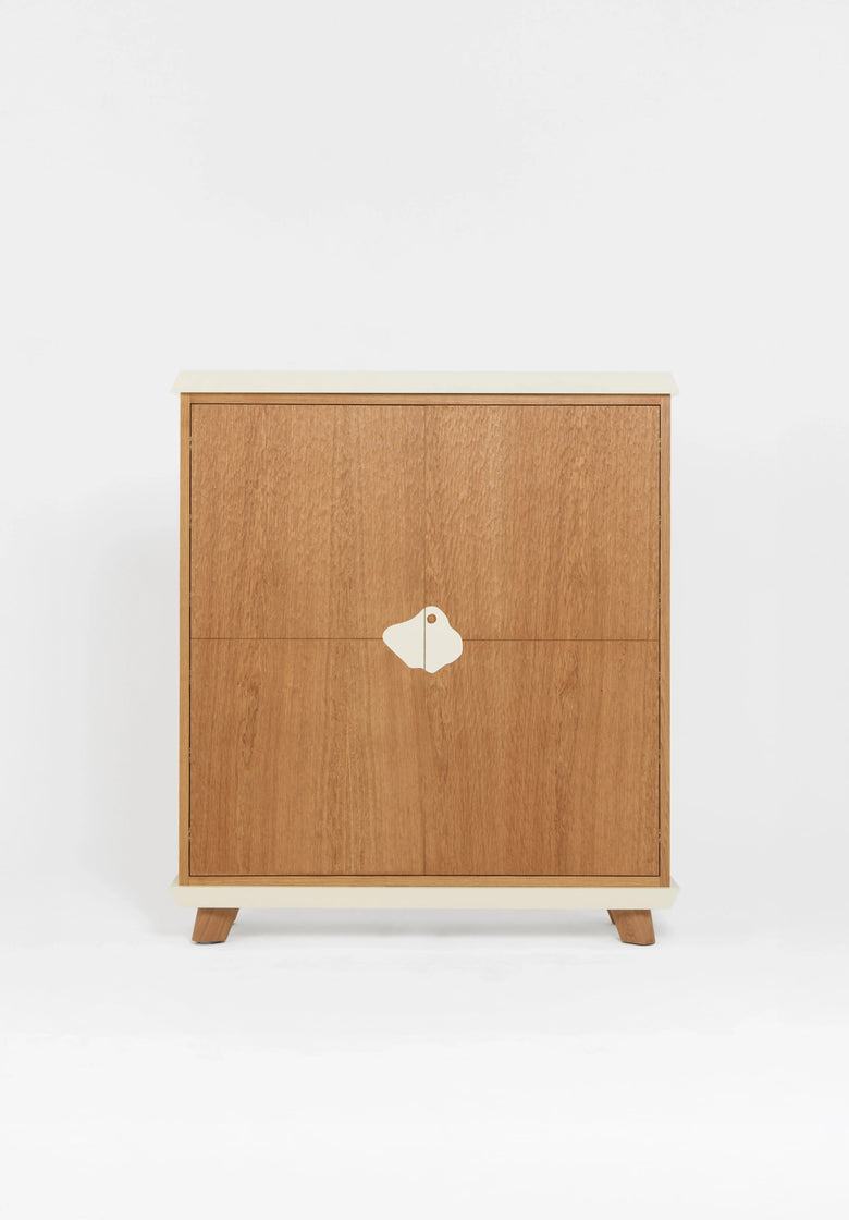 Cabinet 160